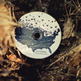 Listening for Human Worth - Thumbnail 3