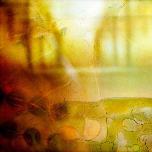 Polaroid (Yellow)