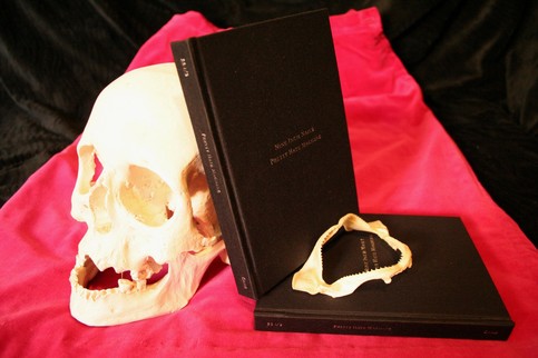 pretty hate machine limited edition book