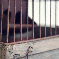 Rustic Vintage Birdcage - Thumbnail 1