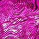 Zebra13_small