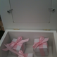 Memory Box - Thumbnail 2