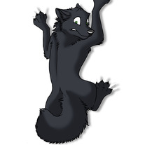 Clingmagnets_blackwolf_medium