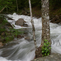 Nat_park-3_medium