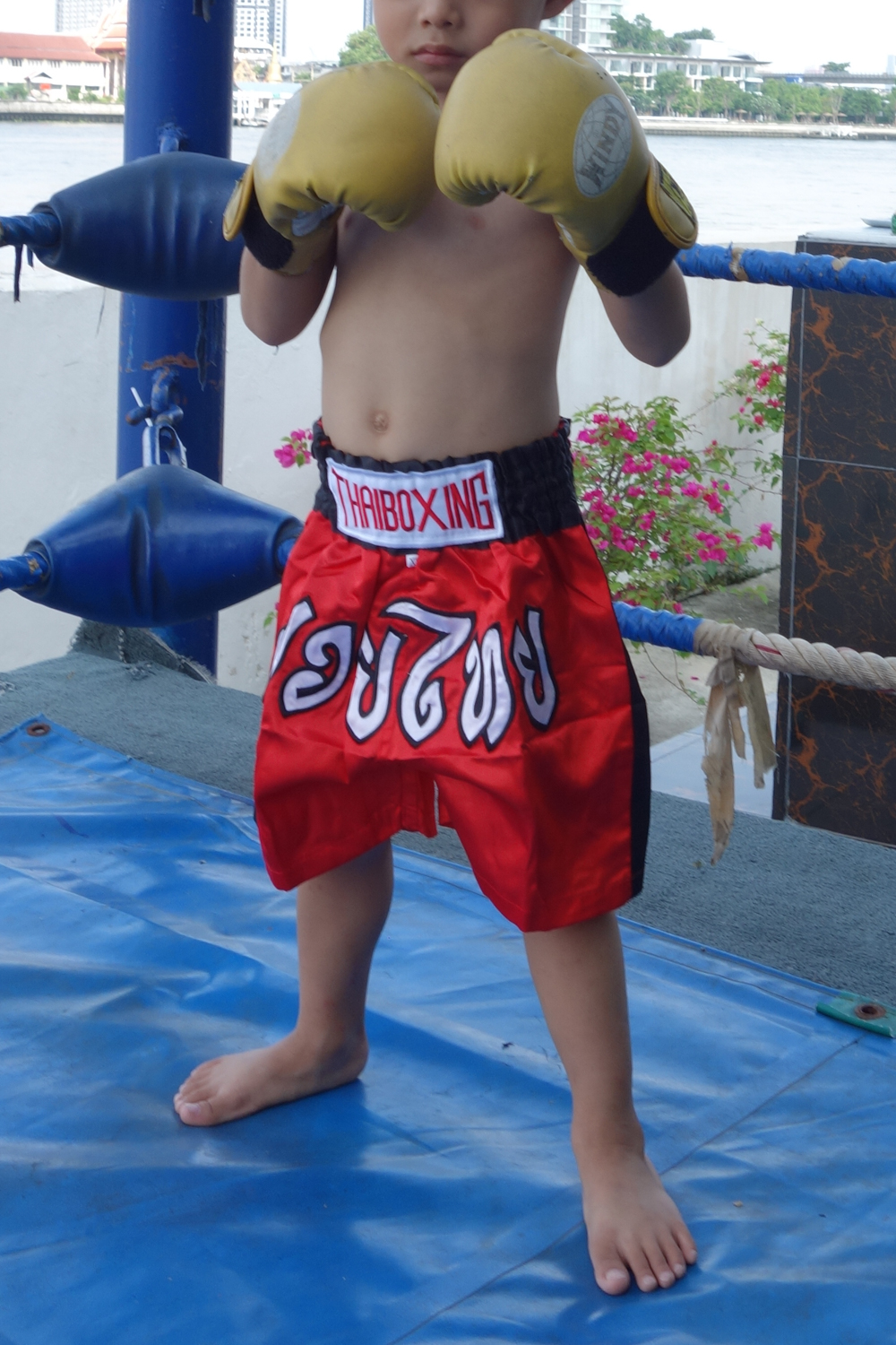Boxing Shorts Satin for Kid's Childrens Muay Thai Fighting Kickboxing