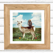Kings and Queens - Luster Photo Print 8x8