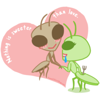 Ladies' T-Shirt - Kawaii Valentine - Praying Mantis