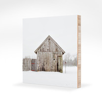 Shack_pw_medium