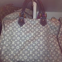 Louis Vuitton Blue/Gray Speedy 