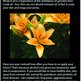 Page_202_small