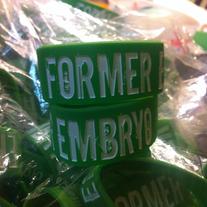 Former Embryo - Wristband