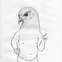 Hawk_medium
