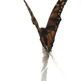 Butterfly_standing_small