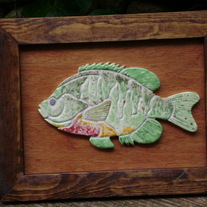 Sunfish
