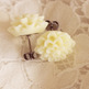 015_copy_small