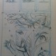 Photo_20(4)_small