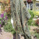 Dscn0916_small