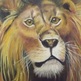 Lieon_king__3_small