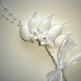Jordan_almond_favors_small