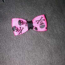 Imag0235_medium