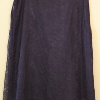 Luxury in Lace skirt