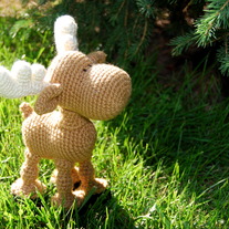 Moose_20wayne_medium