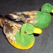 Dsc02723_medium