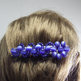 Blueclip_1_small