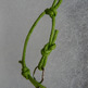 Pendent_20-_20cowstails_20green_small
