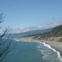 Landscape_204_medium