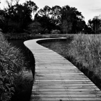 0199_204_medium