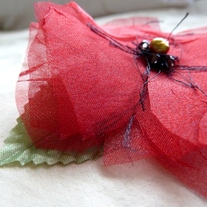 Red Poppy   - Thumbnail 1