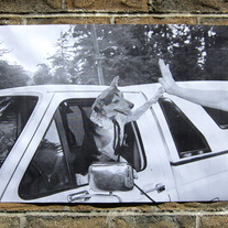 Doggy High 5 poster by Andrea Sonnenberg