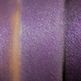 Night_20bus_20swatch_small