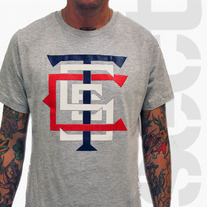 Sect.tc3.gray_medium