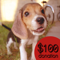 $100 Donation