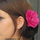 Fuschia_20comb_202_small