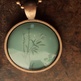 Bamboo_small