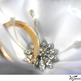 White_20satin_20ring_20pillow_20with_20petal_20flower2_small