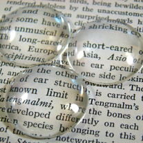 16mmglassgroup_medium