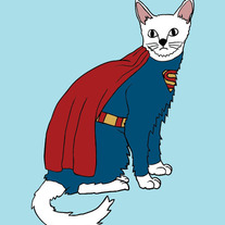 Superman cat, 5x7 print