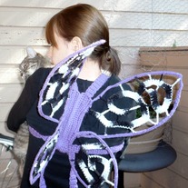 Purplewings_medium