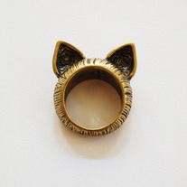 Catg1_medium