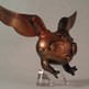 Imag0721_small