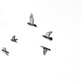 Tumblr_ljf71qnio11qfq31no1_500