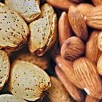 Almonds_in_and_out_of_shell_logo