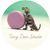 Weebly_trex-header