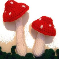 Pilz1