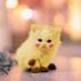 Cattt