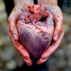 Autumn-blood-cute-dark-forest-favim_com-420119